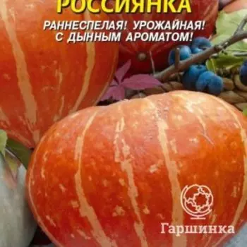 Семена Тыква Россиянка 2 гр Плазменные семена