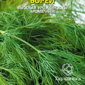 Семена Укроп Борей, 1,5-2 гр, Плазменные семена