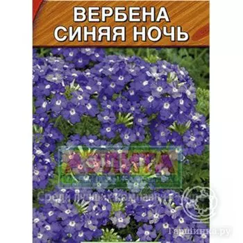 Семена Вербена Синяя ночь