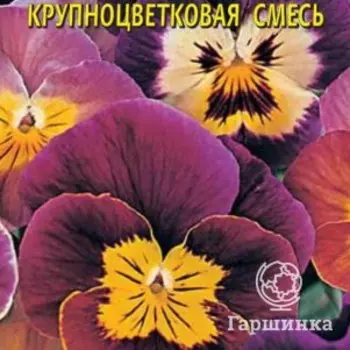 Семена Виола Бамбини крупноцветковая смесь 0,1 гр Плазменные семена