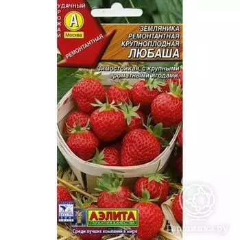 Семена Земляника Любаша ремонтантная