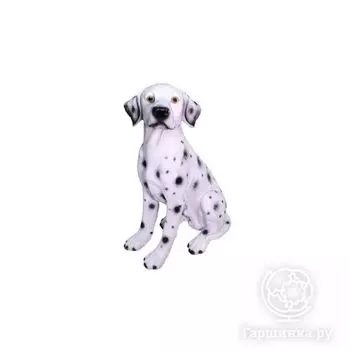 Собака Долматин средний 36х25