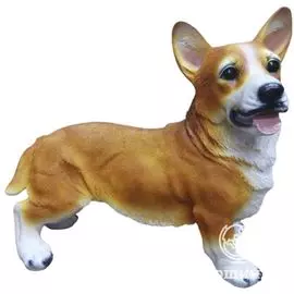 Собака Корги 21*47*42