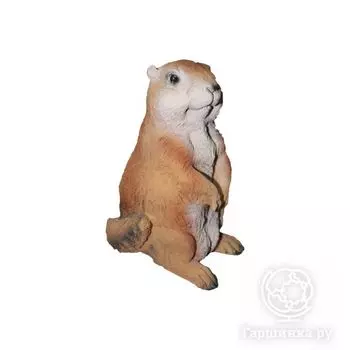 Сурикат средний 16*16*45