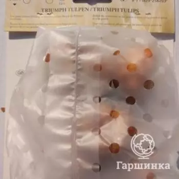 Тюльпан Санкатчер Триумф 5шт