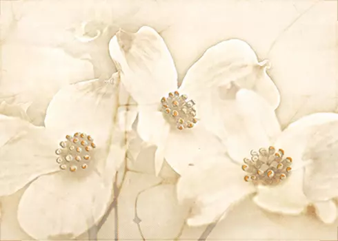 Декор для плитки Cersanit Tuti TG2M011DT бежевый 25х35 см