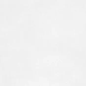 Флизелин малярный Practic Vlies 300 Premium V300-25