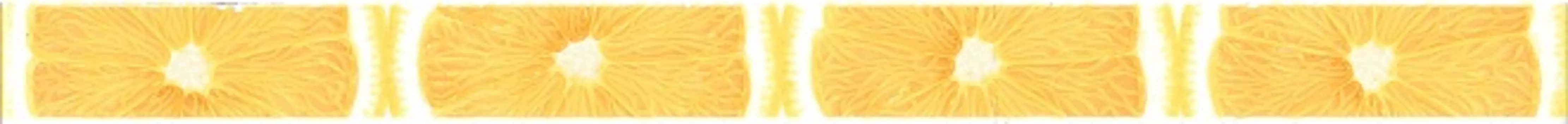 Бордюр Kerama Marazzi Салерно AC269\15000 желтый 3х40 см