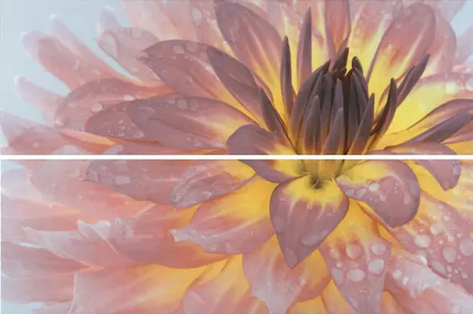 Декор для плиткиKerama Marazzi STG\A444\2x\12093R Искья панно Цветы желто-розовый 50х75 см