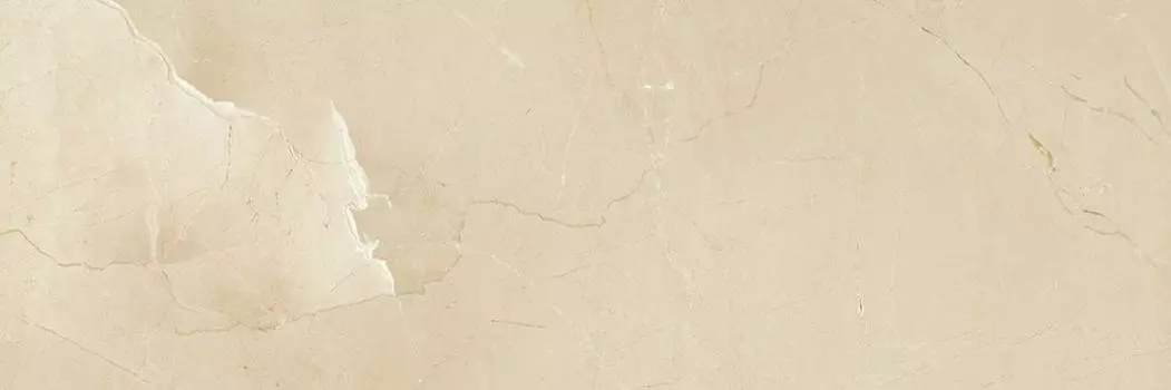 Керамическая плитка Passion R90 Champagne