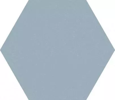 Керамогранит для пола F920 Paprica Blue Esa 25х21,6