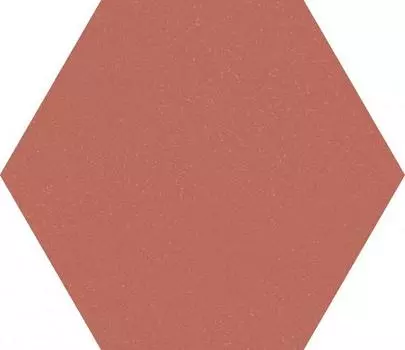 Керамогранит для пола F921 Paprica Aragosta Esa 25х21,6