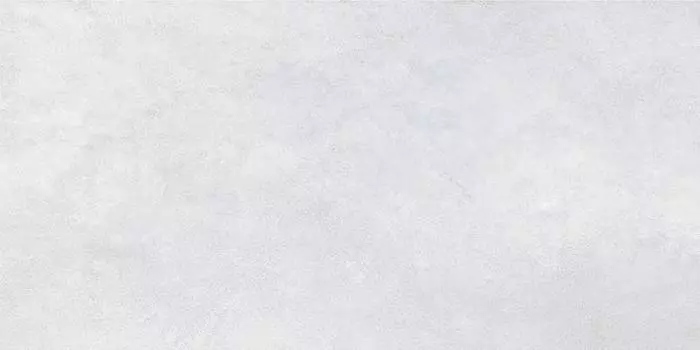 Керамогранит для пола Townhouse глаз. светло-серый (C-TH4O522D) 29,7х59,8