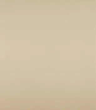 Керамогранит Керамика будущего Моноколор аворио матовый 600х600х10.5 мм 4 шт 1.44 м2