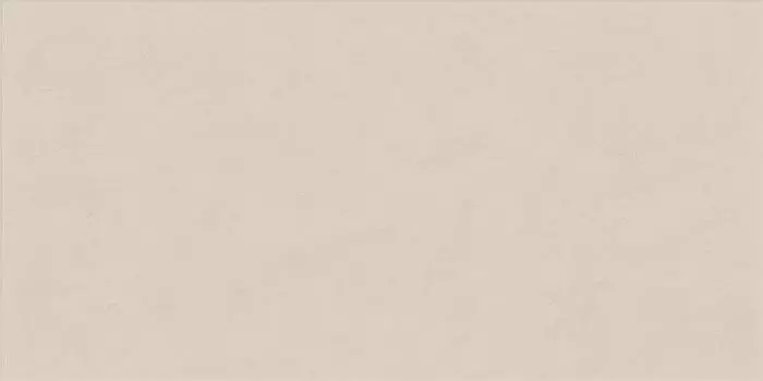 Керамогранит матовый Alabaster Ret 60х120 PF60008230