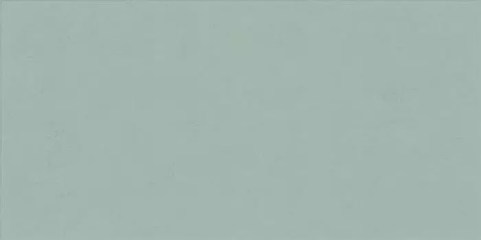 Керамогранит матовый Mint Ret 60х120 PF60008232