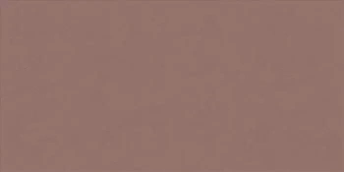 Керамогранит матовый Paprika Ret 60х120 PF60008237