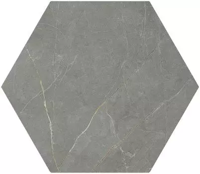 Керамогранит матовый PULPIS DARK Grey HEх 20х24