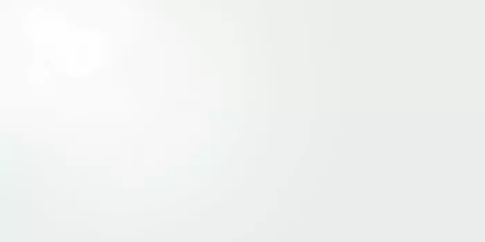 Керамогранит полированный ZEUS White GLOSS 49,1х98,2