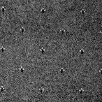 Коммерческий ковролин ITC Palace 097 4 м