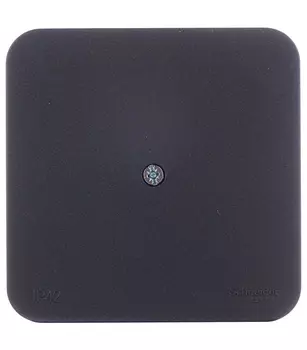 Коробка распределительная Schneider Electric Blanca BLNRK000016 открытая установка антрацит IP42 влагозащищенная