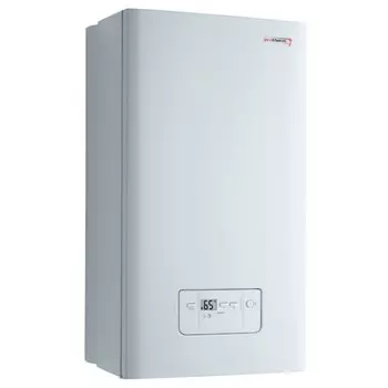 Котел газовый Protherm Гепард 23 MOV настенный