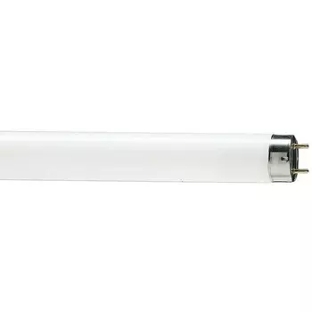 Лампа люминесцентная Osram L 36W/765 G13 6500К