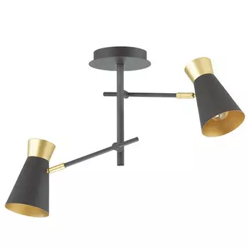 Люстра потолочная Lumion Liam 3790/2C черная с золотом E14 2х40W 220V
