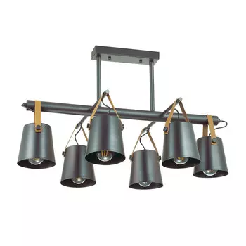 Люстра потолочная Lumion Tristen 3641/6C черная E27 6х60W 220V
