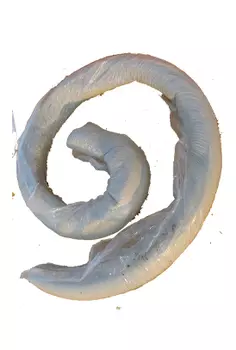 Мастика 14791-79, 50 кг), герметизирующая нетвердеющая ГОСТ (картонный барабан