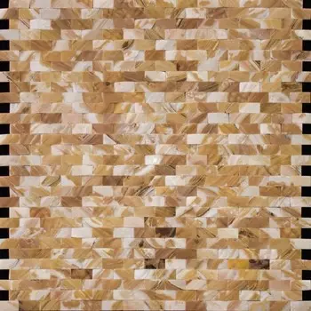 Мозаика из ракушек для бассейна Natural Shell SMF-01-1020