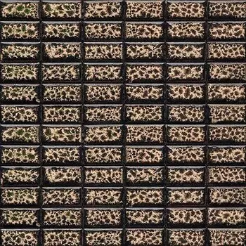 Мозаика керамическая Gaudi Brick-5(4)