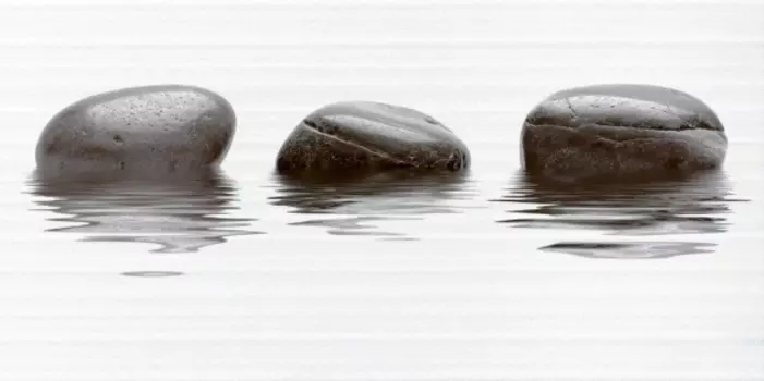 Декор для плитки Нефрит Фреш 10-04-04-330-0 вставка 50х25 см