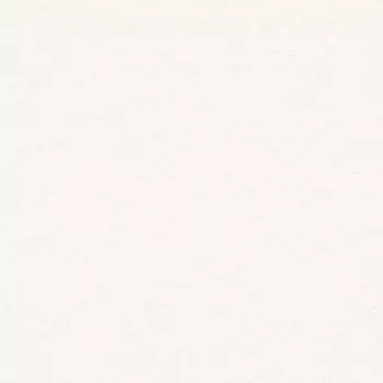 Немецкие обои Rasch коллекция Bauhaus артикул 343212