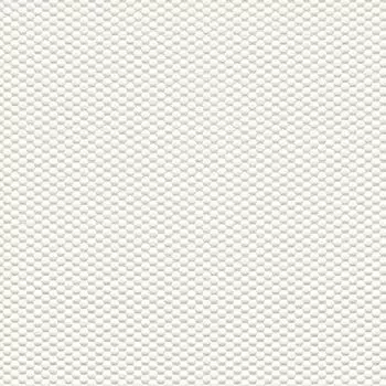 Обои Rasch Bauhaus 326406