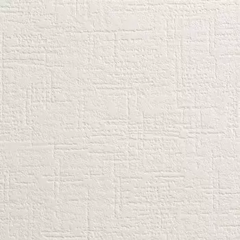 Обои виниловые на бумажной основе Палитра 2169-11