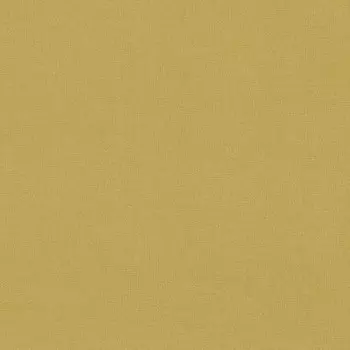 Обои виниловые на бумажной основе Rasch Palace 517033