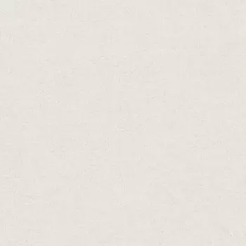 Обои виниловые на флизелиновой основе AS Creation Paradise Garden 36720-6