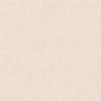 Обои виниловые на флизелиновой основе AS Creation Colibri 36628-3