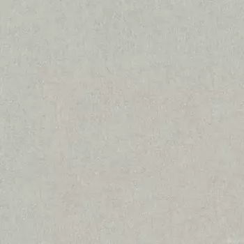 Обои виниловые на флизелиновой основе AS Creation Colibri 36628-1