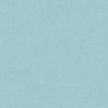 Обои виниловые на флизелиновой основе AS Creation Colibri 36628-5