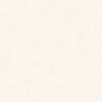 Обои виниловые на флизелиновой основе AS Creation Colibri 36628-2