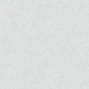 Обои виниловые на флизелиновой основе AS Creation Colibri 36628-9