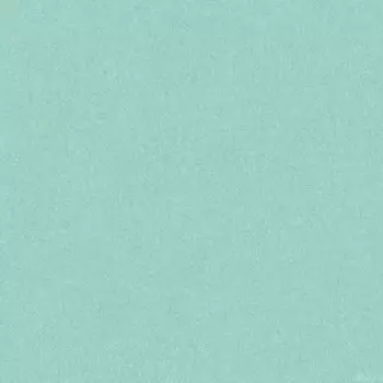 Обои виниловые на флизелиновой основе AS Creation Colibri 36629-4