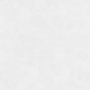 Обои виниловые на флизелиновой основе AS Creation Memory 3 1160-55