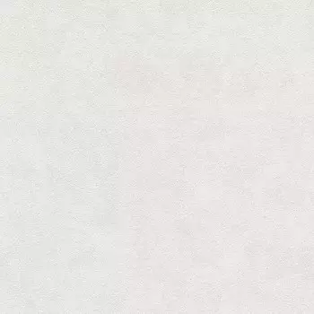 Обои виниловые на флизелиновой основе AS Creation Memory 3 1160-48