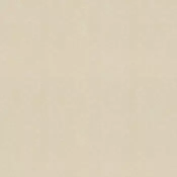 Обои виниловые на флизелиновой основе AS Creation Grazia 36323-2