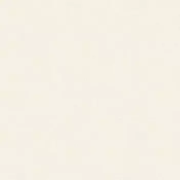 Обои виниловые на флизелиновой основе AS Creation Unique 36088-3