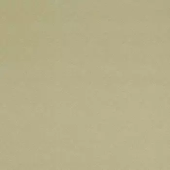 Обои виниловые на флизелиновой основе BN International Indian Summer 218573