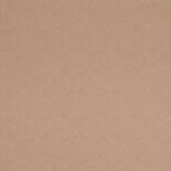 Обои виниловые на флизелиновой основе BN International Indian Summer 218571